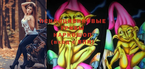 МДПВ Вязники