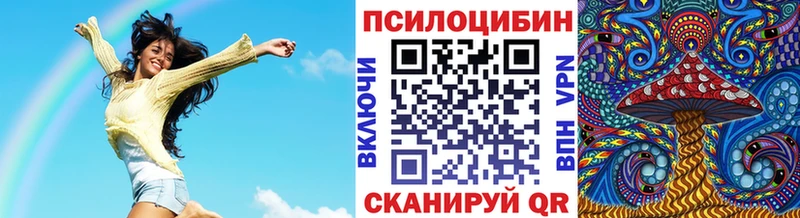 Псилоцибиновые грибы GOLDEN TEACHER  Купить закладки  Амурск 