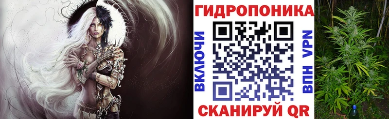 Купить где  Амурск  Каннабис индика 